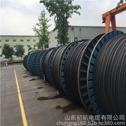 架空電纜與高壓架空線 市場(chǎng)行情、優(yōu)質(zhì)廠家與產(chǎn)品圖鑒